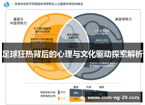 足球狂热背后的心理与文化驱动探索解析 足球狂热背后的心理与文化驱动探索解析