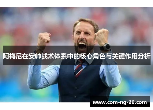 阿梅尼在安帅战术体系中的核心角色与关键作用分析