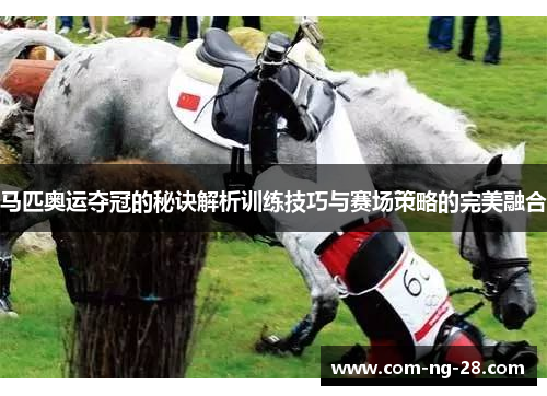 马匹奥运夺冠的秘诀解析训练技巧与赛场策略的完美融合