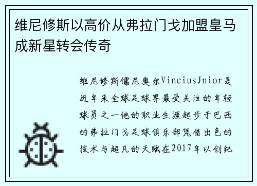 维尼修斯以高价从弗拉门戈加盟皇马成新星转会传奇